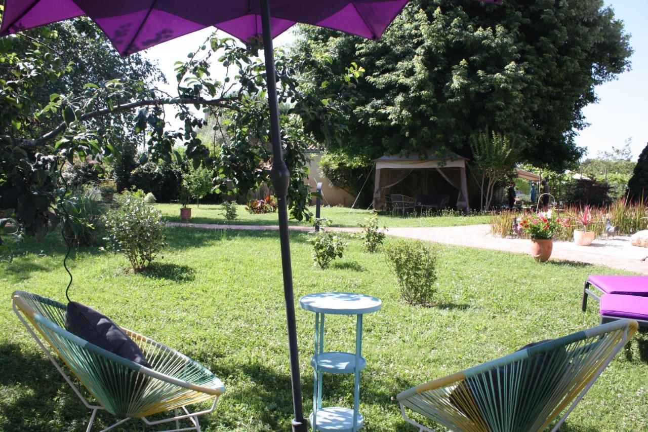 Les Milahinas Apartment Lescure-d'Albigeois Ngoại thất bức ảnh